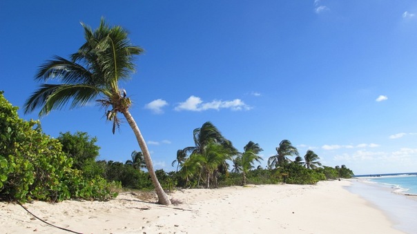 Caribbean Caribbean